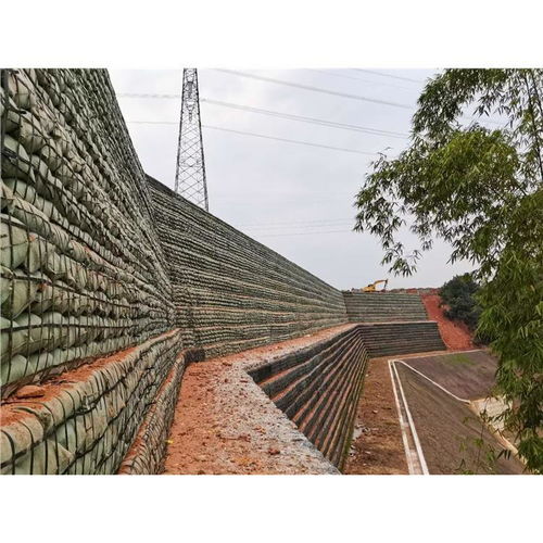 植生袋园林绿化工程施工方式及常见问题探析