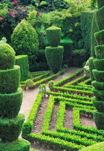 园林绿化施工的五项关键注意事项