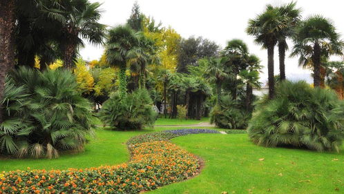 园林景观设计 施工图纸知识全面解析与绿化工程实践要点