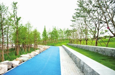 景观提升项目投标文件 园林绿化工程设计及施工一体化方案