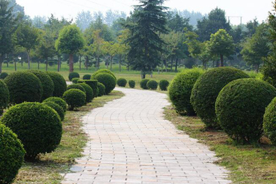 园林绿化工程 从设计构思到施工落地的全程解析