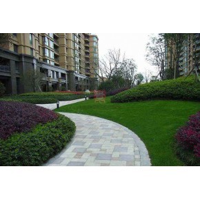 台州绿化工程 设计、施工与价格考量