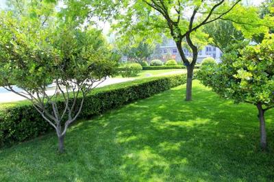 黄陂园林绿化工程与龙胜物业 携手打造绿色生活空间