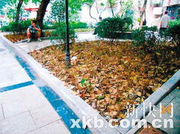 园林绿化工程设计及施工 以匠心堆叠纸上线条与大地诗意