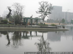 宁波宁南路绿化设计与园林工程全览